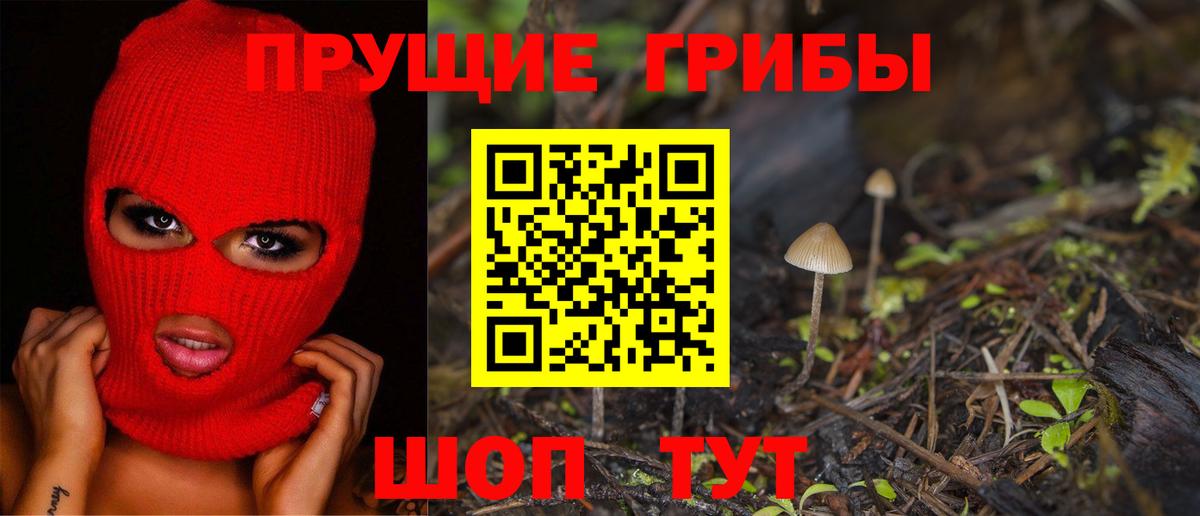 Галлюциногенные грибы прущие грибы Новошахтинск